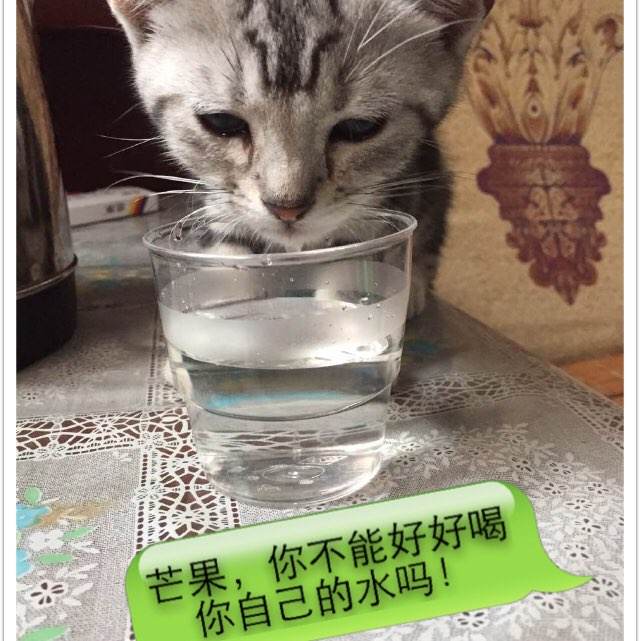 伍尔弗汉普顿大学毕业证电子图